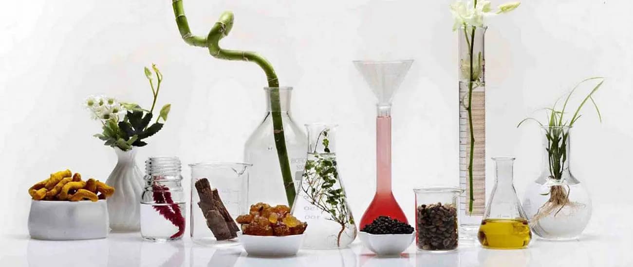 منابع رایحه های عطر