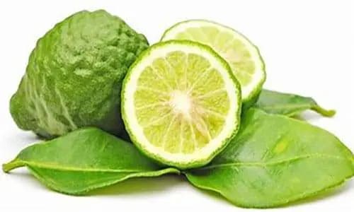 رایحه ترنج