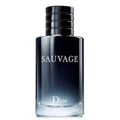 عطر مردانه دیور ساواج 🌌 تلخ، خنک و پرفروش جهانی