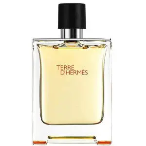 عطر مردانه تق هرمس پرفیوم (تغ دی هغمس پارفوم) - HERMES - Terre d'Hermes Parfum - فروشگاه فروشگاه عطر و ادکلن رایحه