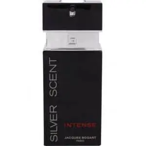 عطر مردانه جکس بوگارت سیلور سنت اینتنس (ژاک بوگارت) - JACQUES BOGART - Silver Scent Intense - فروشگاه فروشگاه عطر و ادکلن رایحه
