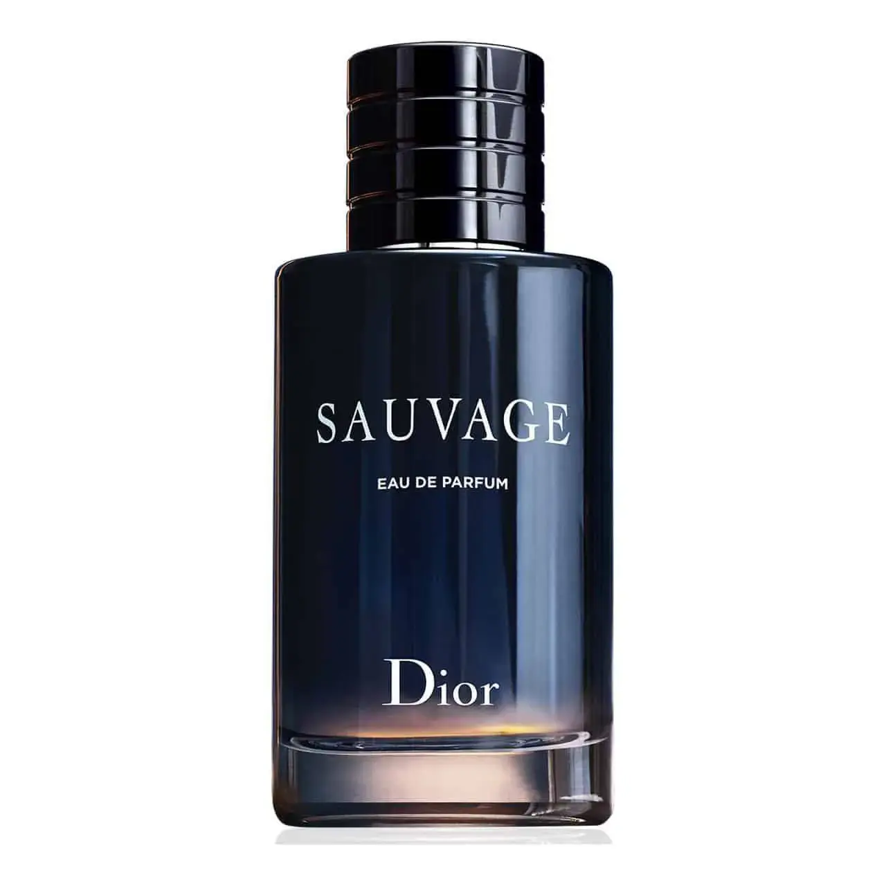 عطر مردانه دیور ساوج ( ساواج - ساواژ ) - Dior - Sauvage EDP - فروشگاه فروشگاه عطر و ادکلن رایحه